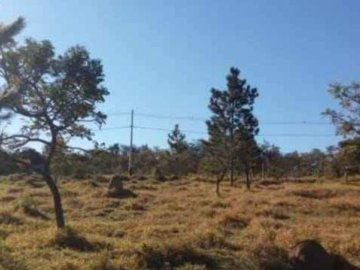Terreno - Venda - Recanto Árvore Grande - Botucatu - SP